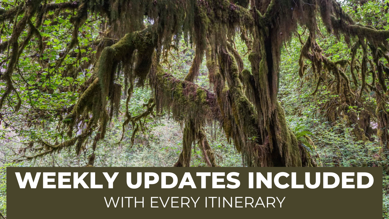 Load video: Current updates included with every itinerary!